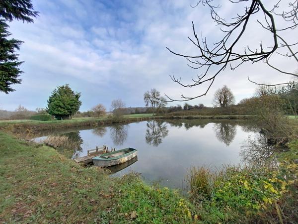 À vendre - Etang situé à Avrillé-les-Ponceaux (37340)