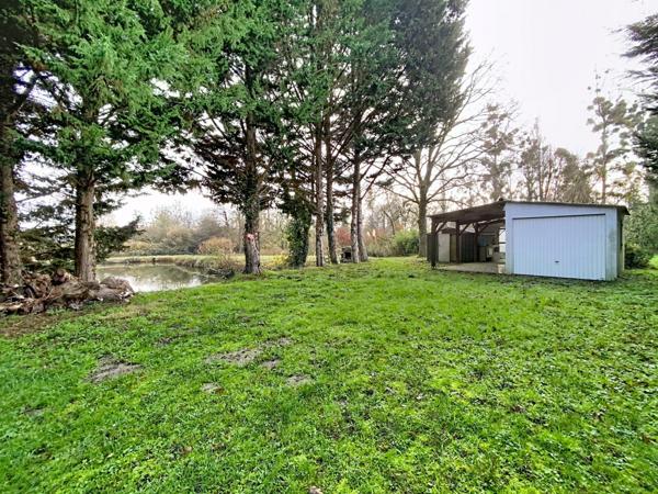 À vendre - Etang situé à Avrillé-les-Ponceaux (37340)