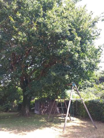 Achat - Maison Baden 56870 140 m 2 1390 m 2
