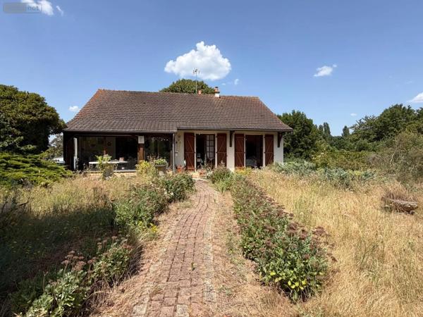 Achat - Maison | Maison à restaurer Rivière 37500 5 pièces 90 m 2 3282 m 2