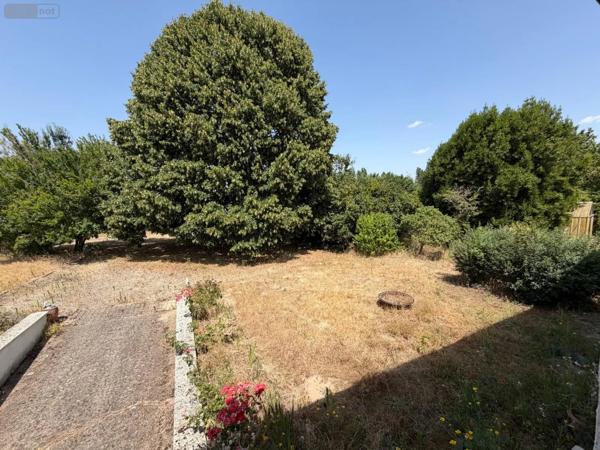 Achat - Maison | Maison à restaurer Rivière 37500 5 pièces 90 m 2 3282 m 2