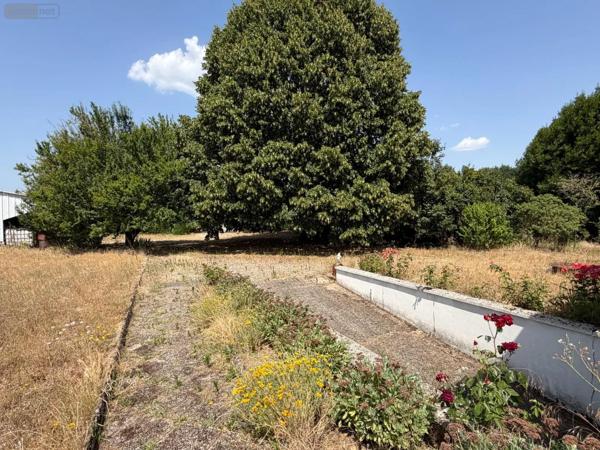 Achat - Maison | Maison à restaurer Rivière 37500 5 pièces 90 m 2 3282 m 2
