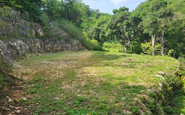 Terrain à vendre    Le Gosier