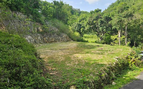 Terrain à vendre    Le Gosier