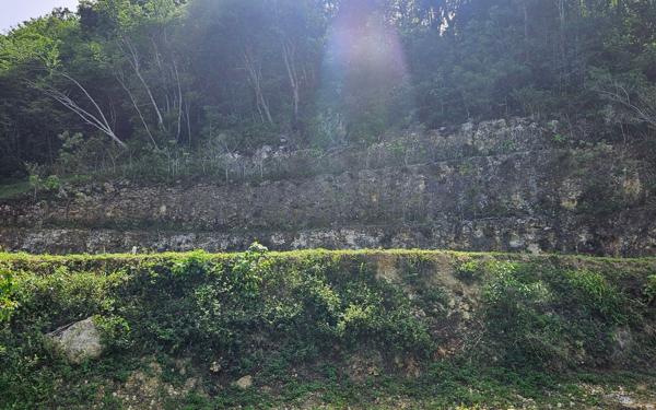 Terrain à vendre    Le Gosier