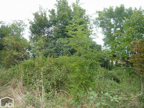 Terrain à vendre avec garage, Salles 79800
