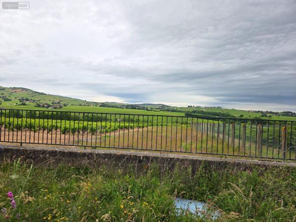 Propriété agricole à vendre à La Chapelle-de-Guinchay en Saône-et-Loire (71570), ref : 13779/958   
LES DAROUX