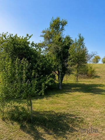 À VENDRE – TERRAIN DE 1 595 m² À GY (70700) Bourg chaleureux de 1400 habitants 12 KMS DE MARNAY