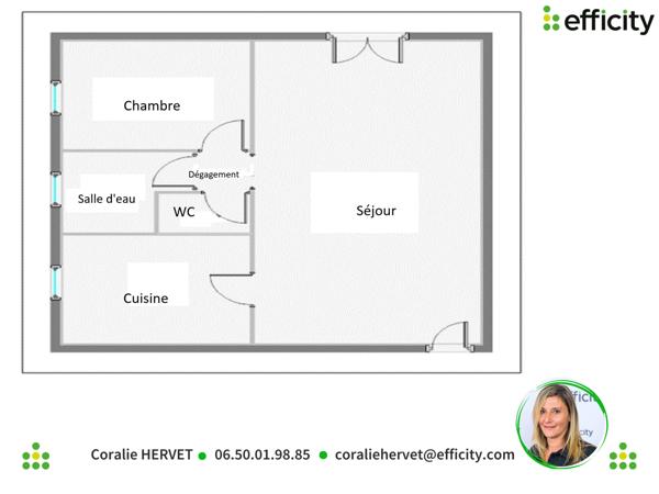 Appartement 2 pièces - 48 m² Exclusivité efficity