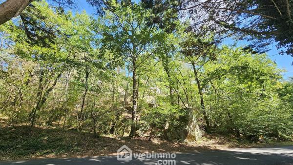 Maison 135 m² à Milly-la-Forêt 91490