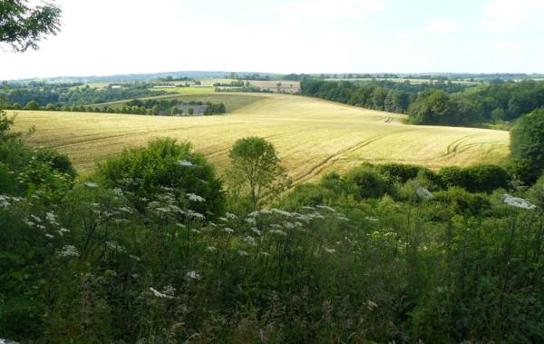 Vente Maison individuelle en pierre à rafraîchir Carville   