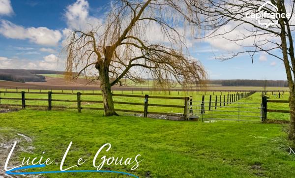 Ensemble immobilier rare sur plus de 4 hectares – Idéal projet équestre, gîte ou grande famille