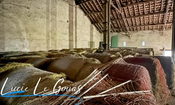 Ensemble immobilier rare sur plus de 4 hectares – Idéal projet équestre, gîte ou grande famille