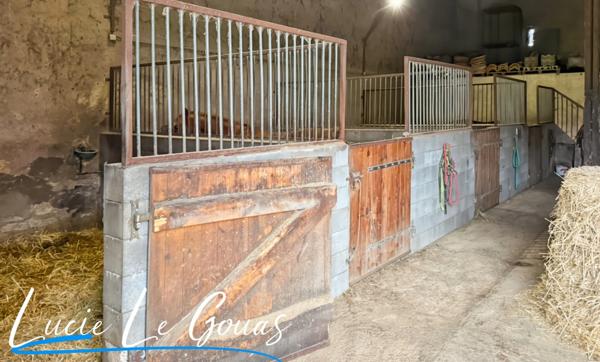 Ensemble immobilier rare sur plus de 4 hectares – Idéal projet équestre, gîte ou grande famille