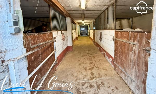 Ensemble immobilier rare sur plus de 4 hectares – Idéal projet équestre, gîte ou grande famille