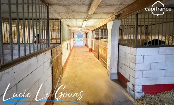 Ensemble immobilier rare sur plus de 4 hectares – Idéal projet équestre, gîte ou grande famille