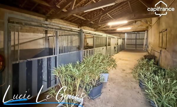 Ensemble immobilier rare sur plus de 4 hectares – Idéal projet équestre, gîte ou grande famille