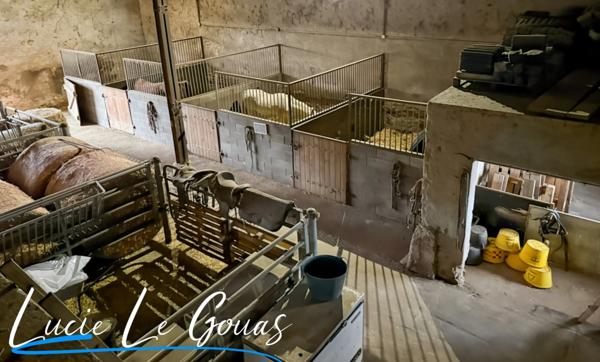 Ensemble immobilier rare sur plus de 4 hectares – Idéal projet équestre, gîte ou grande famille