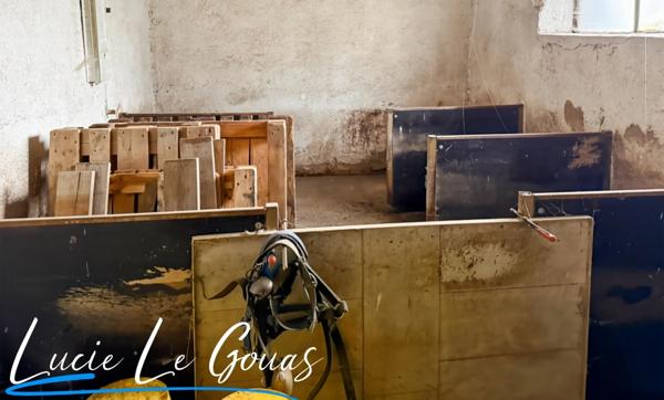 Ensemble immobilier rare sur plus de 4 hectares – Idéal projet équestre, gîte ou grande famille