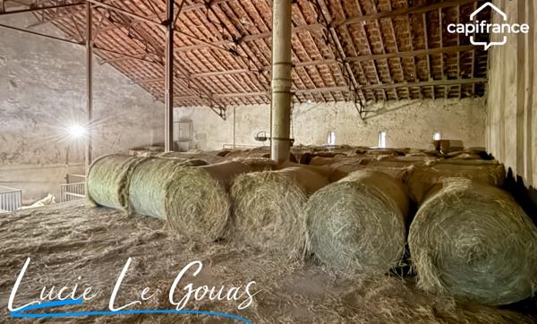 Ensemble immobilier rare sur plus de 4 hectares – Idéal projet équestre, gîte ou grande famille