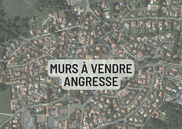 ANGRESSE , Locaux Professionnels, 276 590 € - Réf : 3585-lot1-106402