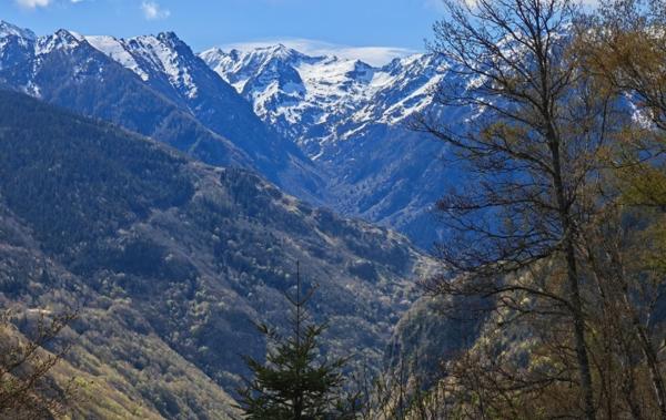 Vente Appartement P4 Ax-les-thermes   