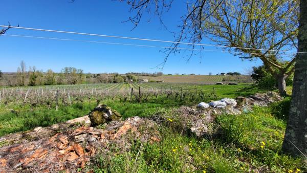 33220  proche Pineuilh Maison de 158 m² dépendances pierres  sur parcelle 7645m²