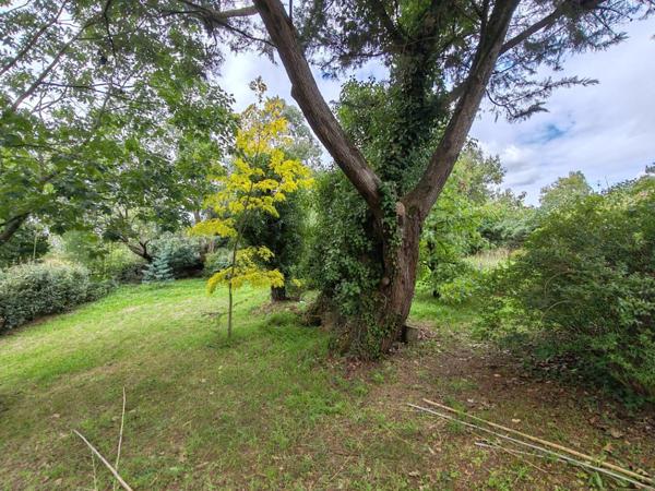 Vente / Terrain constructible