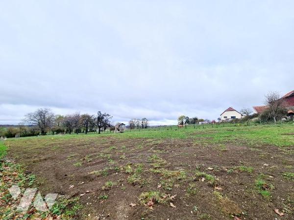 Terrain constructible - BOLANDOZ