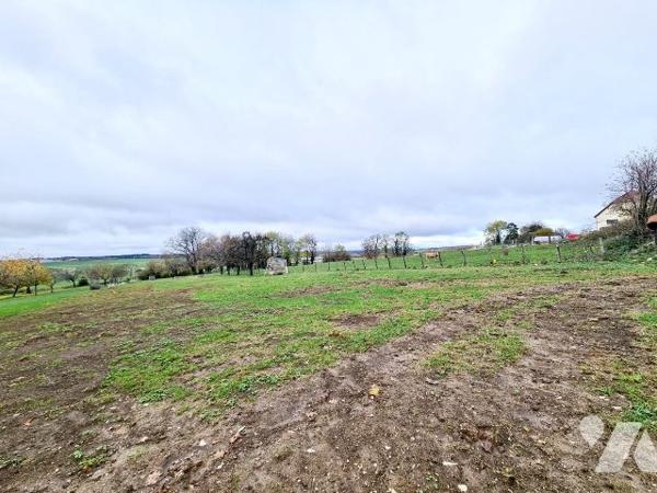 Terrain constructible - BOLANDOZ