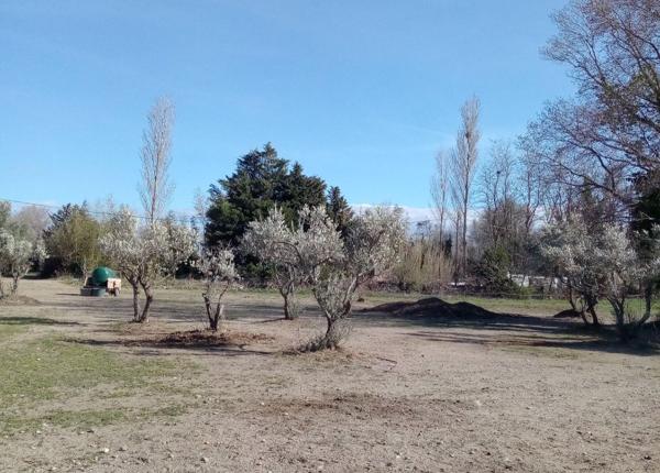 Terrain à MILLAS, 66170 - 8000m²