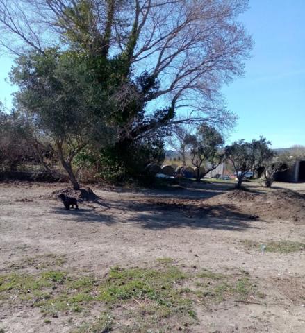 Terrain à MILLAS, 66170 - 8000m²