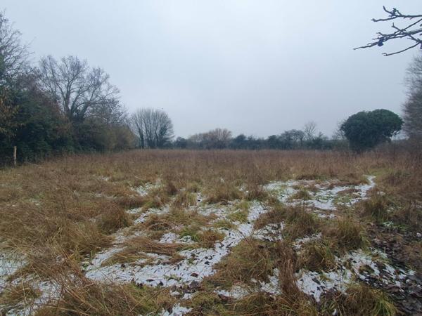 Maison avec travaux pour un projet de rénovation.