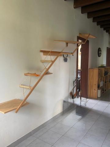 PLAISANCE (32)proche: BELLE MAISON DE CAMPAGNE rénovée 170m2,  économique, sans VOISIN, au CALME, jardin 3300m2 clos, dependances