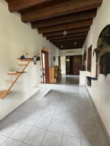 PLAISANCE (32)proche: BELLE MAISON DE CAMPAGNE rénovée 170m2,  économique, sans VOISIN, au CALME, jardin 3300m2 clos, dependances