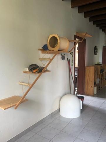 PLAISANCE (32)proche: BELLE MAISON DE CAMPAGNE rénovée 170m2,  économique, sans VOISIN, au CALME, jardin 3300m2 clos, dependances