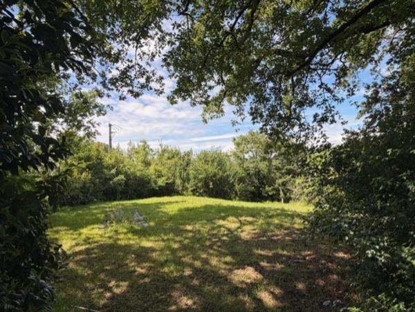 PLAISANCE (32)proche: BELLE MAISON DE CAMPAGNE rénovée 170m2,  économique, sans VOISIN, au CALME, jardin 3300m2 clos, dependances