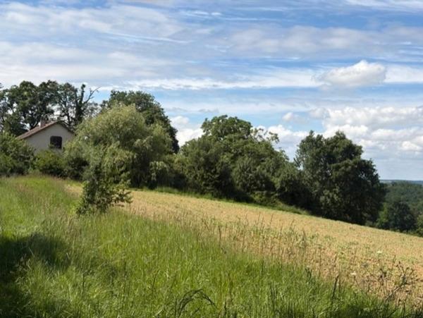 PLAISANCE (32)proche: BELLE MAISON DE CAMPAGNE rénovée 170m2,  économique, sans VOISIN, au CALME, jardin 3300m2 clos, dependances