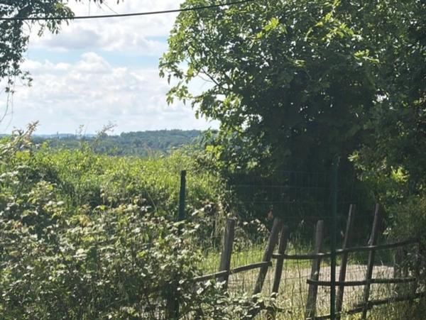 PLAISANCE (32)proche: BELLE MAISON DE CAMPAGNE rénovée 170m2,  économique, sans VOISIN, au CALME, jardin 3300m2 clos, dependances