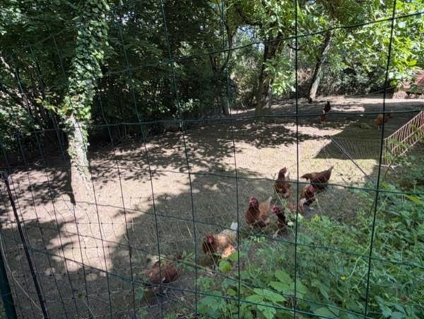 PLAISANCE (32)proche: BELLE MAISON DE CAMPAGNE rénovée 170m2,  économique, sans VOISIN, au CALME, jardin 3300m2 clos, dependances