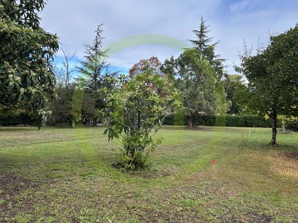 Terrain à CESTAS (33610)