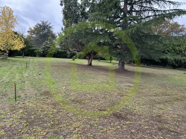 Terrain à CESTAS (33610)