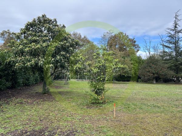 Terrain à CESTAS (33610)