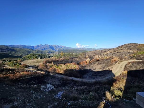 Vente Appartement 2 pièces 45 m2 à Olmeta-Di-Tuda