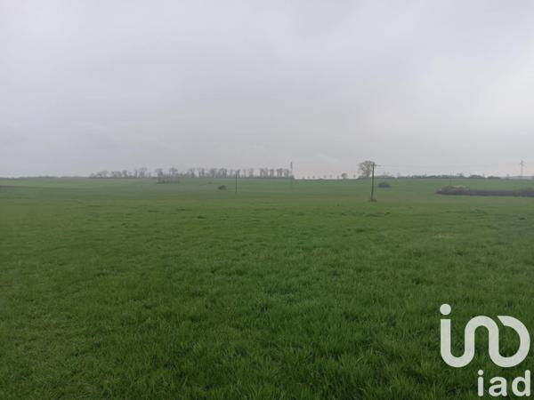 Terrain à vendre 21 130 m² Bébing