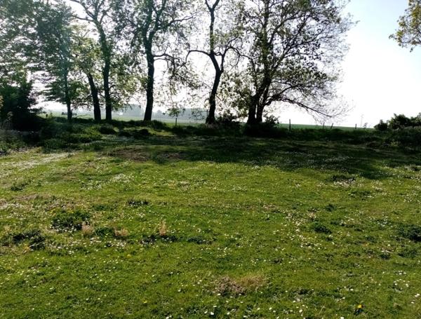 Terrain à vendre proche de VALMONT (76)