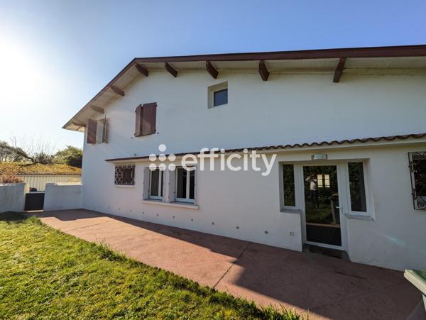 Appartement 5 pièces - 143 m² Exclusivité efficity