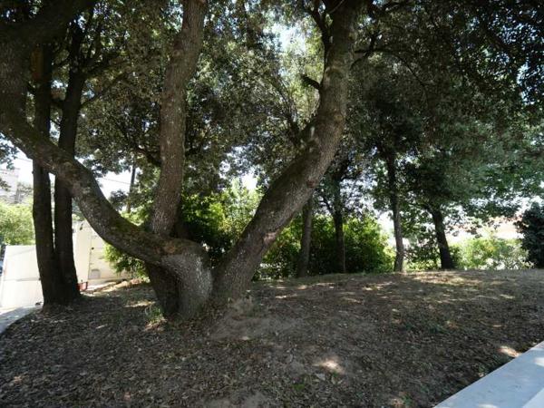 Parc de Vallière, Certaines adresses se visitent, d’autres se ressentent !