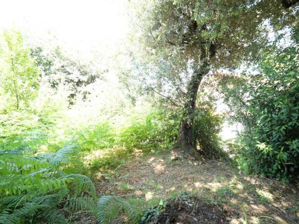 Parc de Vallière, Certaines adresses se visitent, d’autres se ressentent !