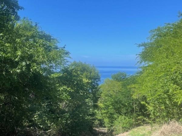 Terrain à vendre de 1 161 m²
